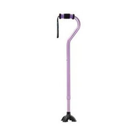 Sky Medsupply International Sky Medsupply International SM-060001PPQ Sky Med Self-Standing Cane in Purple SM-060001PPQ